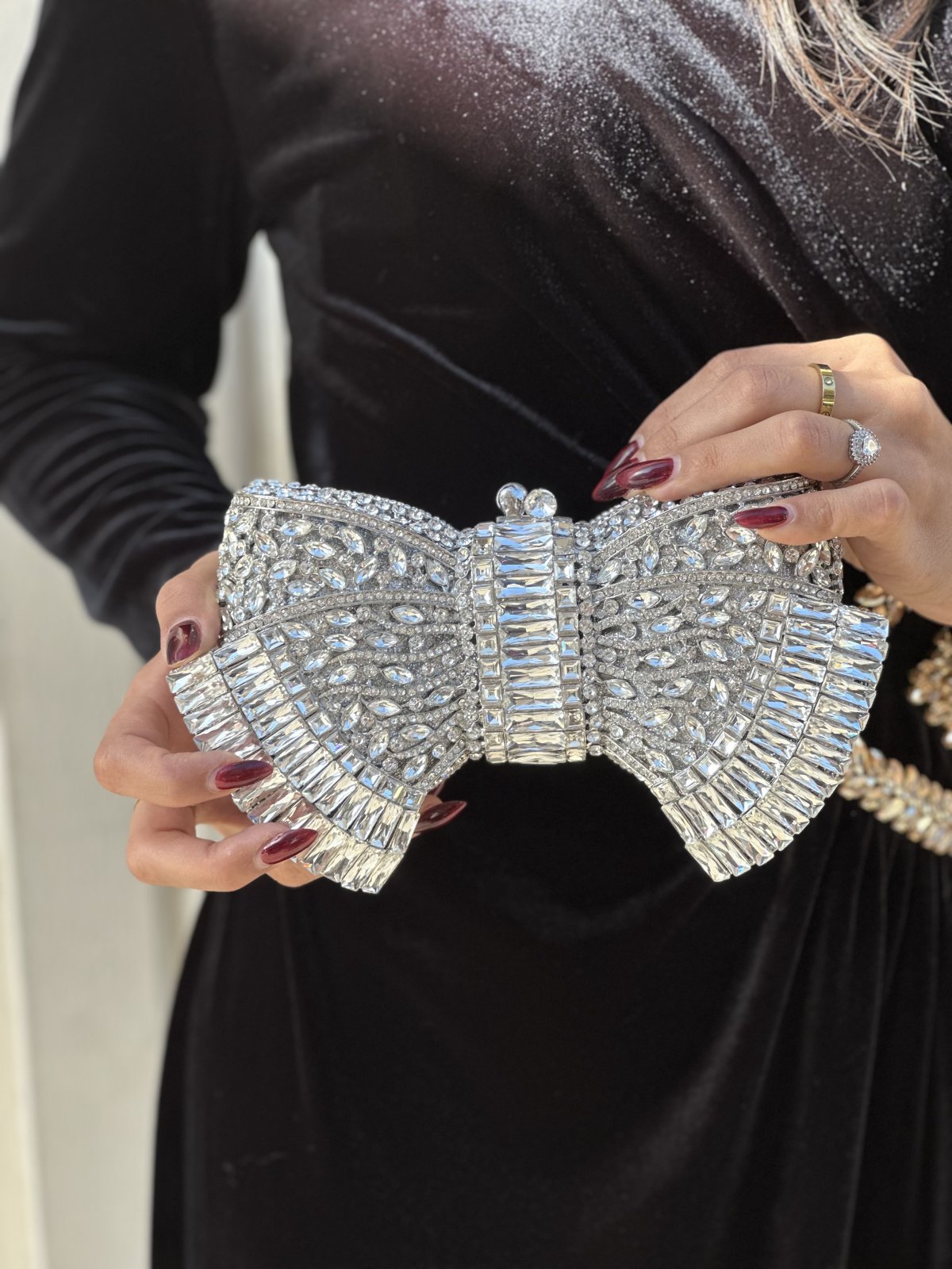 Pochette Cristal - 4